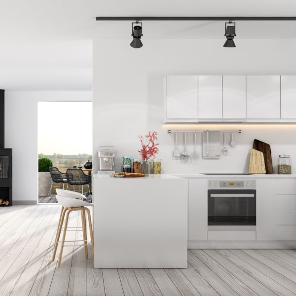 Apartment Cleaning without Materials